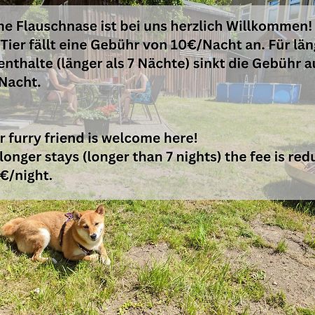 H1 - Urlaubsmagie - Pool & Terrasse Zum Entspannen Sebnitz Exterior foto
