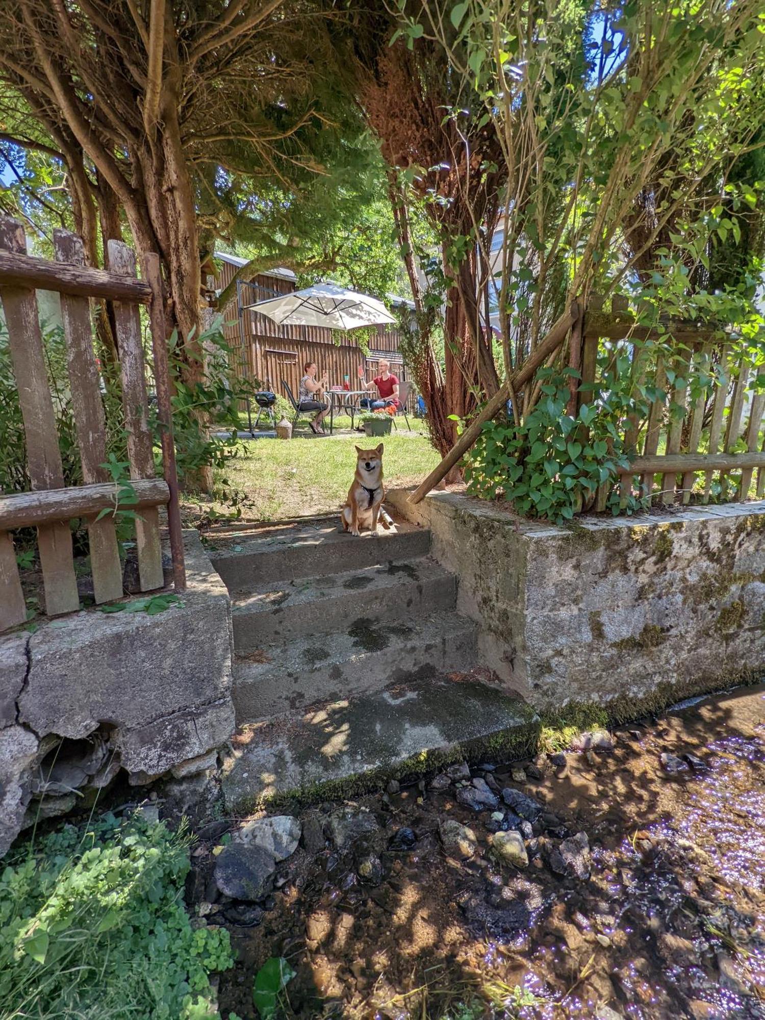 H1 - Urlaubsmagie - Pool & Terrasse Zum Entspannen Sebnitz Exterior foto