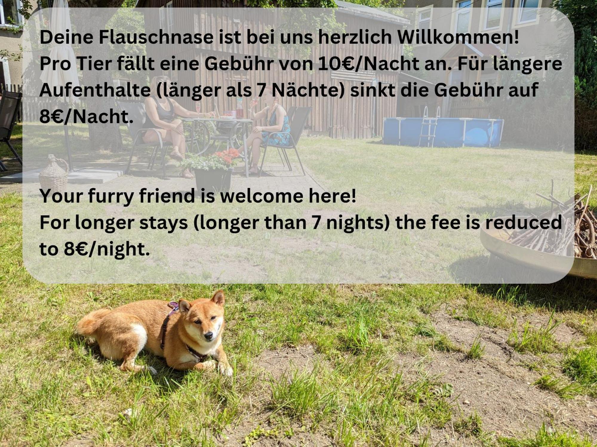 H1 - Urlaubsmagie - Pool & Terrasse Zum Entspannen Sebnitz Exterior foto